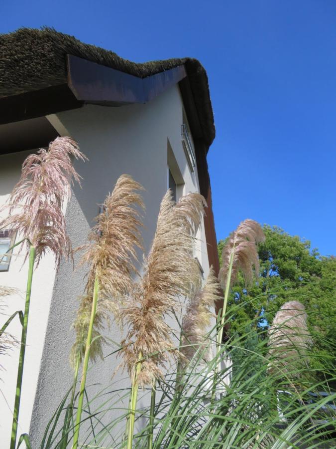 Boddenhaus Darss Apartment Wieck Bagian luar foto